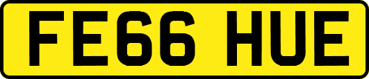 FE66HUE