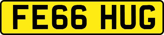 FE66HUG