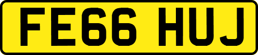 FE66HUJ