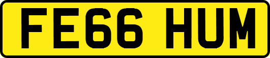 FE66HUM