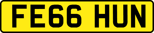 FE66HUN
