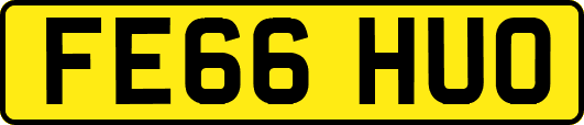 FE66HUO