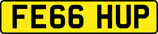 FE66HUP