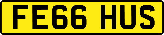 FE66HUS
