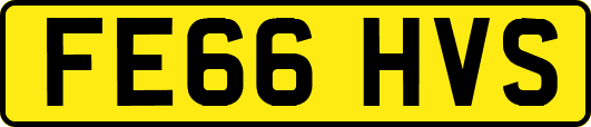 FE66HVS