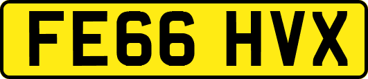 FE66HVX