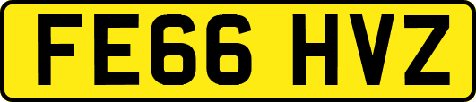 FE66HVZ