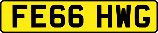 FE66HWG