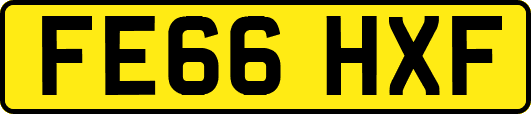 FE66HXF