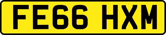 FE66HXM
