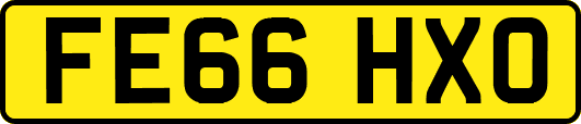 FE66HXO