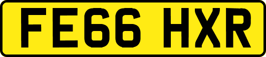 FE66HXR