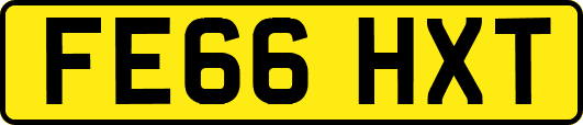 FE66HXT
