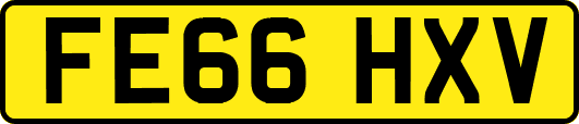 FE66HXV