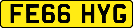 FE66HYG