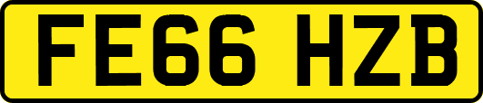 FE66HZB