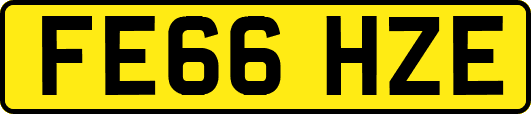 FE66HZE
