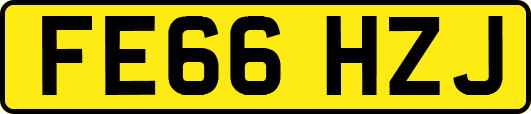 FE66HZJ