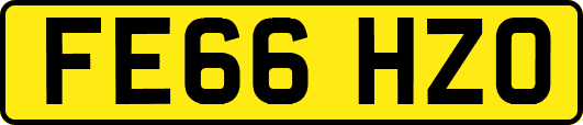 FE66HZO