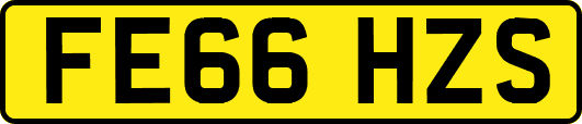 FE66HZS