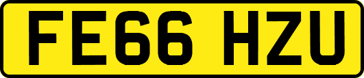 FE66HZU