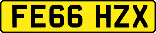 FE66HZX