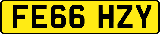FE66HZY
