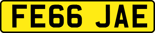 FE66JAE