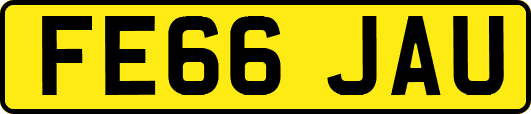 FE66JAU