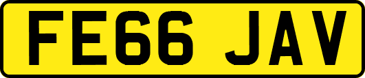 FE66JAV