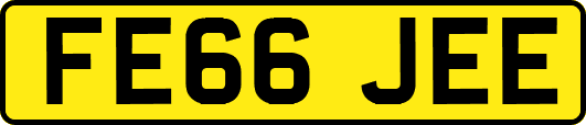 FE66JEE