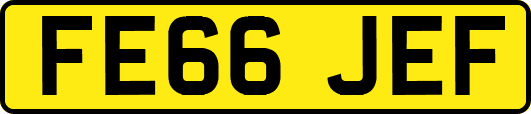 FE66JEF