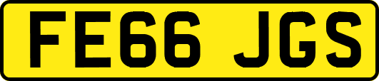 FE66JGS