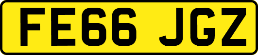 FE66JGZ