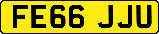 FE66JJU