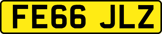 FE66JLZ