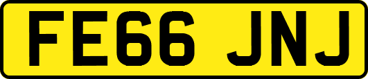 FE66JNJ
