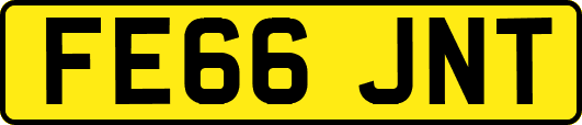 FE66JNT