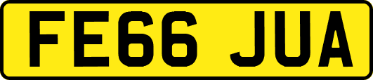 FE66JUA