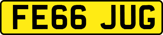 FE66JUG
