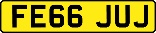 FE66JUJ