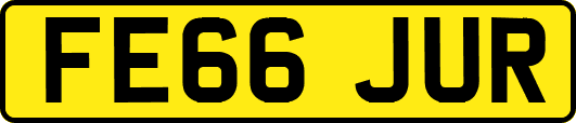 FE66JUR