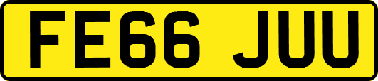 FE66JUU