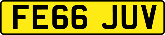 FE66JUV