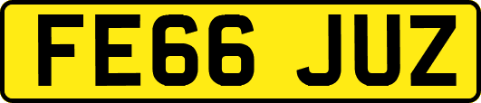 FE66JUZ