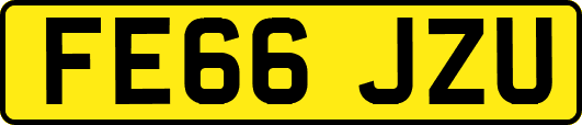 FE66JZU