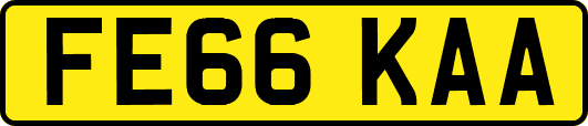 FE66KAA