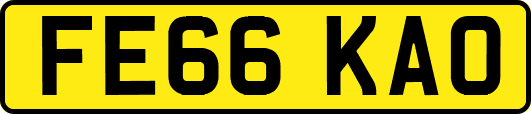 FE66KAO
