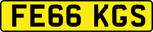 FE66KGS