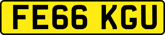 FE66KGU
